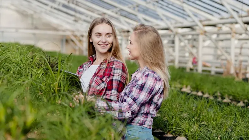 Where to Buy Quality Turf in Richmond for Your Next Project