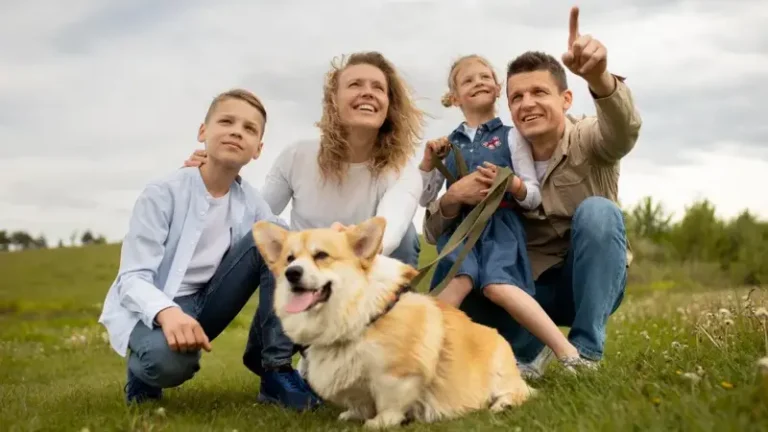 WhatUTalkingBoutFamily Useful Tips