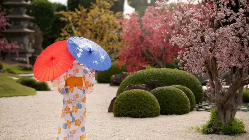 What Makes Water Features a Timeless Element in Landscape Design?