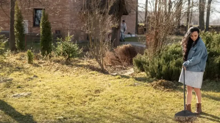 Why Regular Lawn Maintenance Matters in Round Rock TX