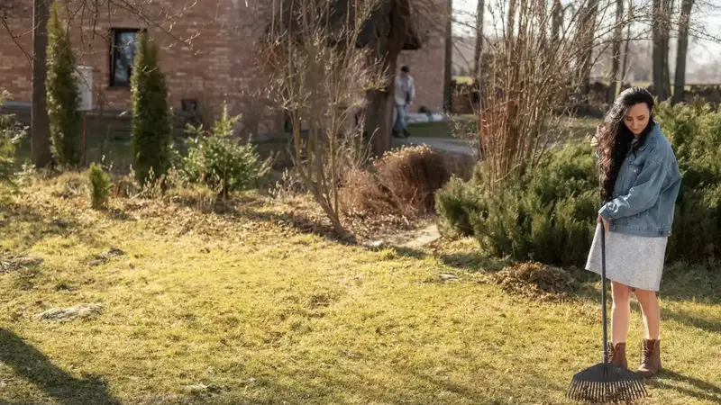 Why Regular Lawn Maintenance Matters in Round Rock TX