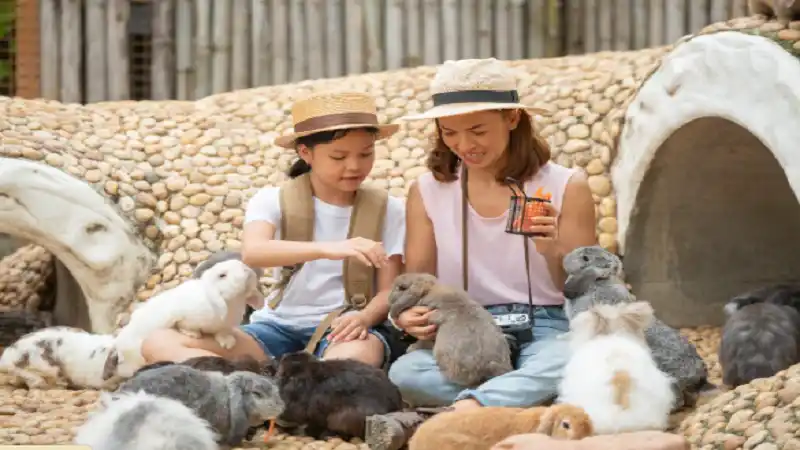 Why Animal Encounters Are the Perfect Educational Tool for Young Explorers