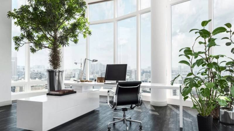 Why Regular Painting Maintenance Protects Commercial Buildings