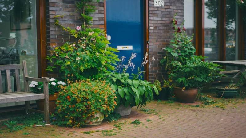 Designing a Front Yard That Looks Welcoming Even When Nothing Is Blooming